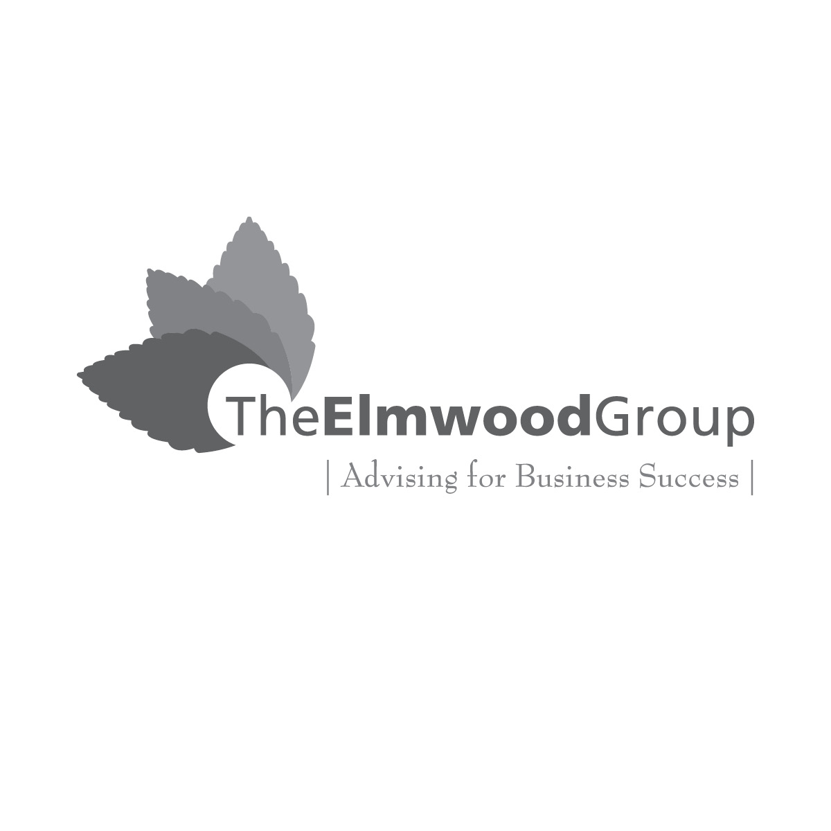 The Elmwood Group - Advising for Business Success