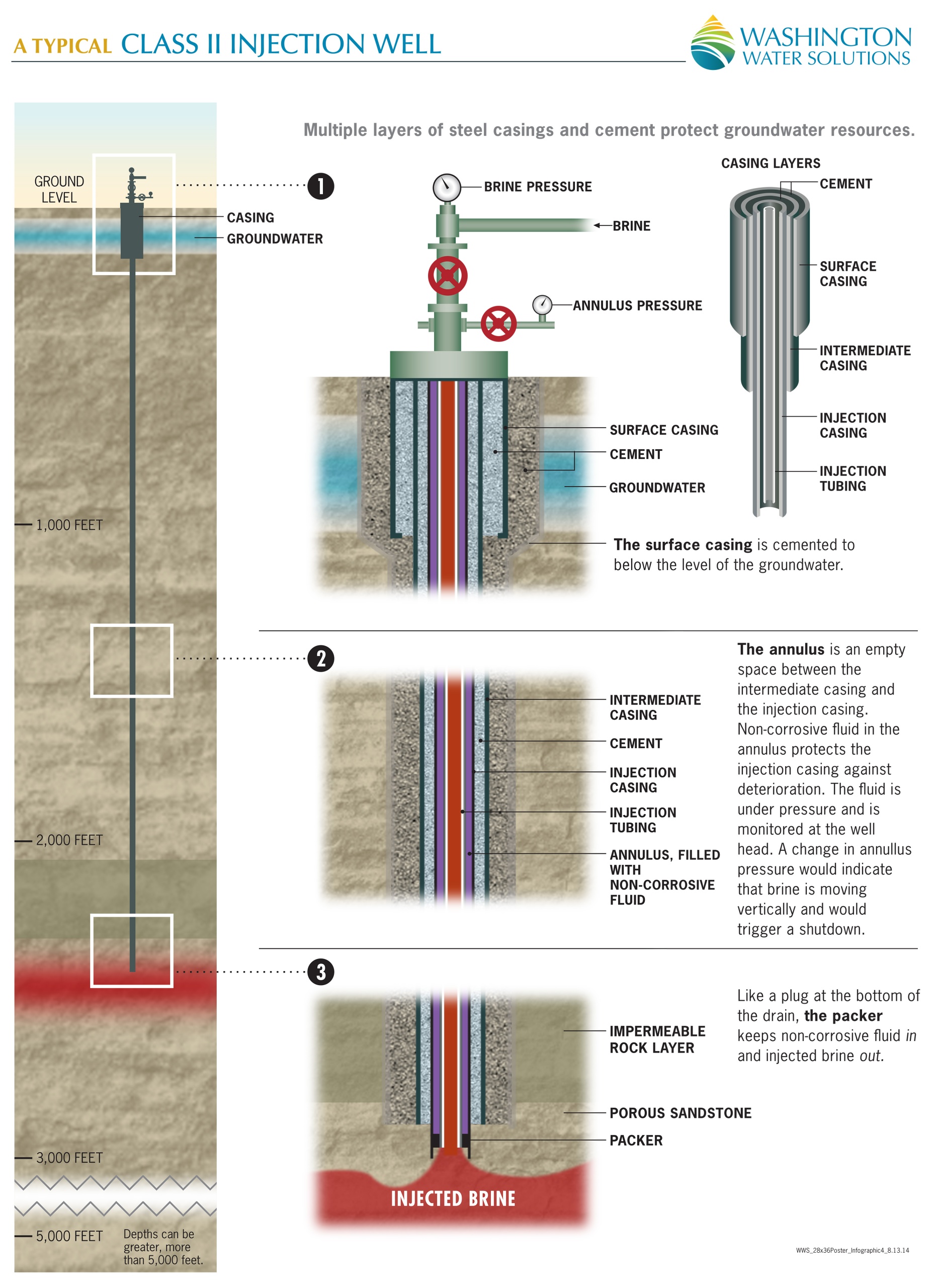 WWS_28x36Poster_infographic4_PRESS