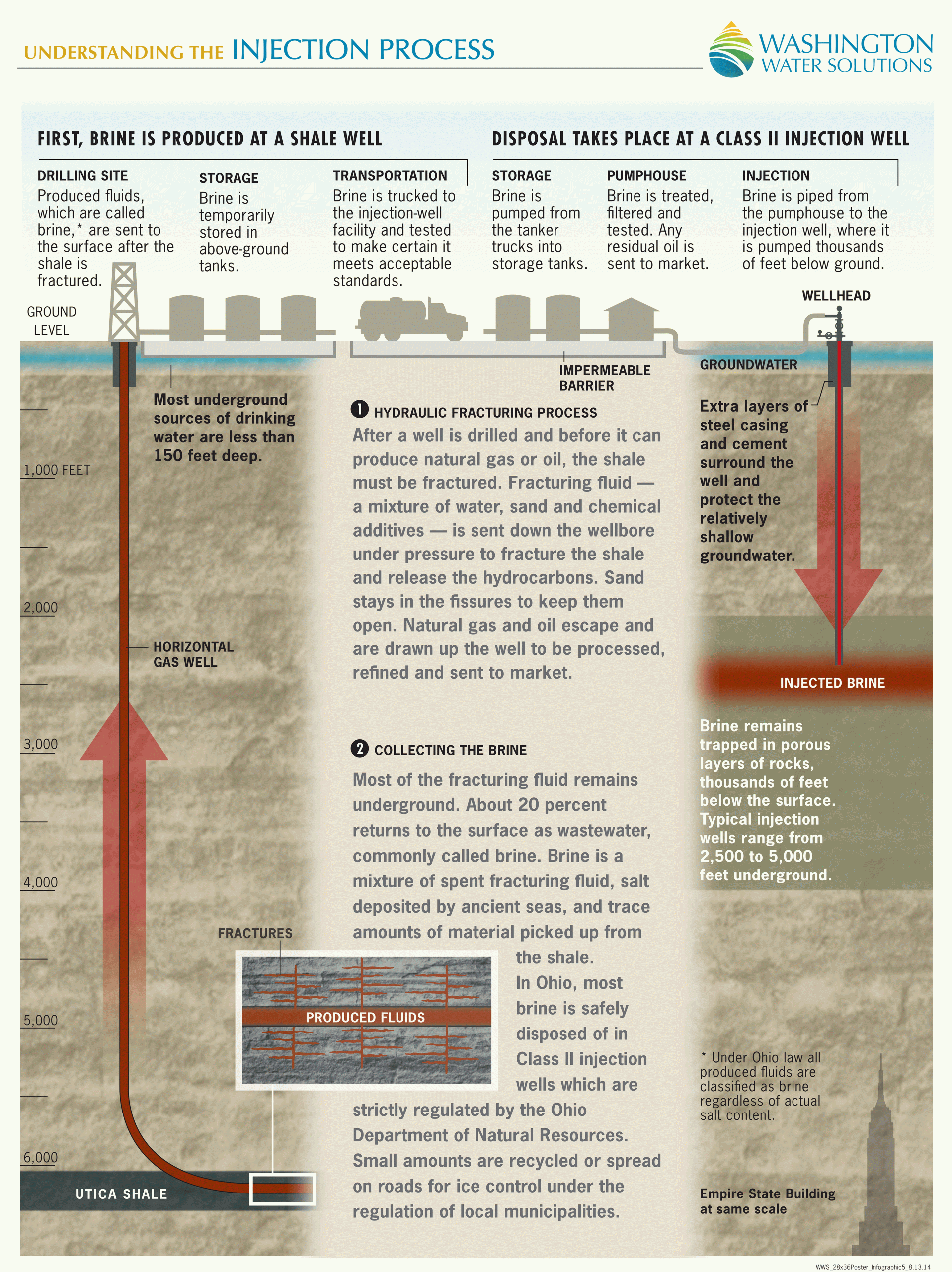 WWS_28x36Poster_infographic5_PRESS